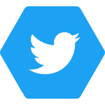Twitter logo icon